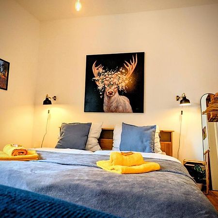 Uhlpartment - Romantisches Apartment Im Zentrum Илцен Екстериор снимка